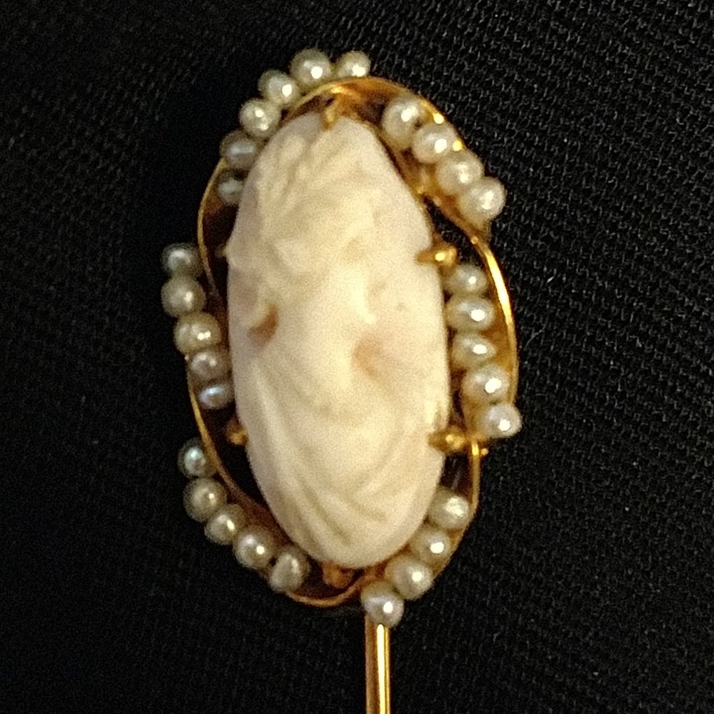 Victorian Antique Pin/Brooches